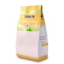 Base Saborizante Para Sorvete Selecta Especial 1 Kg Abacate