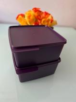 Basic Line 2,5litros roxa