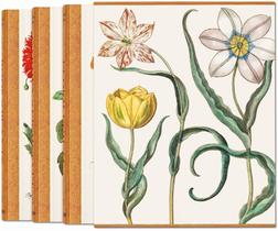 Basilius besler the garden at eichstatt set: flori - TASCHEN