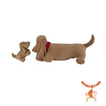 Bassê Fifi grávida com 1 filhote