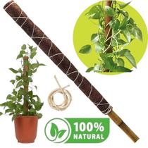 Bastão Tutor 60 cm Suporte Plantas Trepadeiras Fibra de Coco