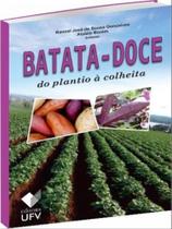 Batata-doce do plantio à colheita
