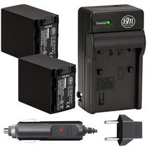 Bateria e carregador, pacote com 2 NP-FV100 para Sony HDR-CX455 CX675