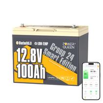 Bateria Power Queen 12V 100Ah LiFePO4 Bluetooth para RV Bateria Power Queen 12V 100Ah LiFePO4 Bluetooth para RV