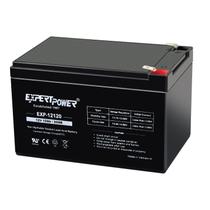 Bateria Recarregável ExpertPower EXP12120 12V 12Ah F2