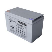 Bateria Tracionária Gel GLOBAL 12v 130ah Ciclo Profundo EVG12-130