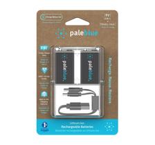 Baterias USB-C recarregáveis de 9 V, azul claro, pacote com 2 Baterias USB-C recarregáveis de 9 V, azul claro, pacote com 2
