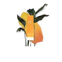 Be laranja 10ml roll on