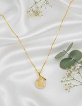 Beagle colar pets do coracao folheado a ouro 18k