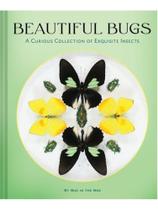 Beautiful bugs - a curious collection of exquisite insects