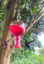 Bebedouro Americano Vidro Laboratório Beija Flor 4 Saídas Bebedouro Americano Vidro Laboratório Beija Flor 4 Saídas