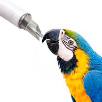 Bebedouro Automático para ARARA PAPAGAIO CACATUA Bebedouro Automático para ARARA PAPAGAIO CACATUA