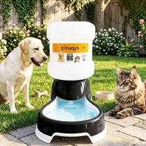 Bebedouro Automatico Pet 6L Preto Grande Galao Caes Gatos