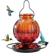 Bebedouro de Beija-flor de Vidro Grete Gotye 770ml com 5 Portas Bebedouro de Beija-flor de Vidro Grete Gotye 770ml com 5 Portas