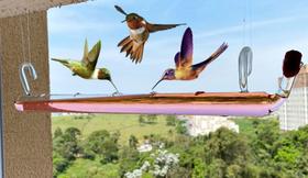 Bebedouro De Vidro Exorbitantes Para Beija-flor E Pássaros Ar Livre - Dal acessórios de vidro