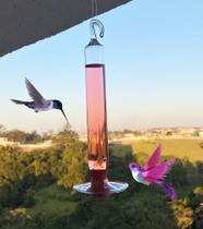 Bebedouro De Vidro Fino Disco Para Beija Flor E Pássaros