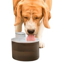 Bebedouro Fonte de Água Automático para Pets 3L com Sensor e USB Bebedouro Fonte de Água Automático para Pets 3L com Sensor e USB