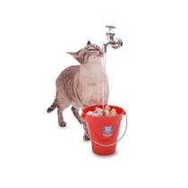 Bebedouro Fonte Para Gatos Torneira Magicat Catmypet