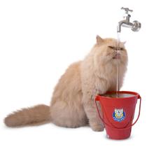 Bebedouro fonte para Gatos Vermelho Bivolt MagiCat CatMyPet