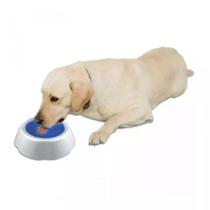 Bebedouro Grande Refrescante Tigela Gelada Fria Pet 970ml Bebedouro Grande Refrescante Tigela Gelada Fria Pet 970ml