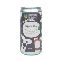 Bebida Kombucha de Jabuticaba Companhia dos Fermentados 269ml