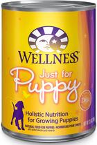 Bem-estar Saúde Natural Molhado Cão Enlatado Cão Cão Frango e Salmão - Wellness