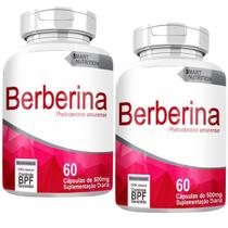 Berberina Kit Com 2 Potes Com Total De 120 Capsulas