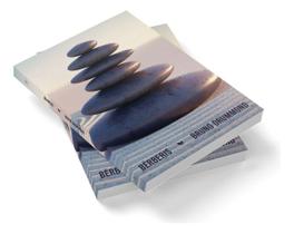 Berberis Sortido Berberis Sortido