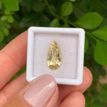 Berilo Amarelo Gota 2,65ct