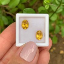 Berilo Amarelo Oval Par 2,52ct