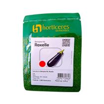 Berinjela Híbrida Roxelle 1000 Sem Horticeres Fruto 20 À 22 Cm Vigoroso Berinjela Híbrida Roxelle 1000 Sem Horticeres Fruto 20 À 22 Cm Vigoroso