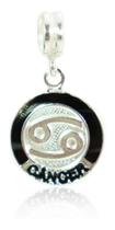 Berloque Charm Signo Zodiaco Prata Legitima 925