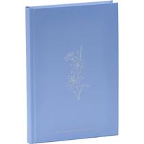 Bíblia Ara, Light Blue, Capa Dura: Almeida Revista e Atualizada (Ara) - Sbb