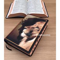 Biblia ARC Leão reflexo Letras Grandes Evangélica Com Harpa E Corinhos Indice digital