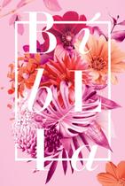 Bíblia Buque Rosa NAA Letra Normal Capa Dura
