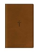 Bíblia com mapas mentais - naa - letra gigante - marrom