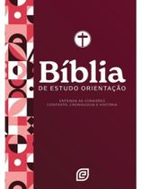 Bíblia de estudo orientação - capa red minimal - versão nvi 2001 (nova versão internacional 2001) Bíblia de estudo orientação - capa red minimal - versão nvi 2001 (nova versão internacional 2001)