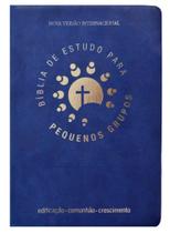 Biblia De Estudo Para Pequenos Grupos - Azul - Palavra Biblia De Estudo Para Pequenos Grupos - Azul - Palavra