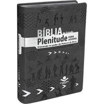 Bíblia de Estudo Plenitude para Jovens Ntlh Capa material sintético Cinza