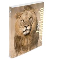 Bíblia do Leão no campo de trigo - Brochura - NVT
