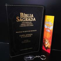 Bíblia jovem evangelica ideal p/presente harpa tradicional k