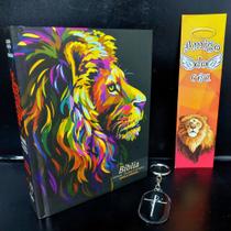 Bíblia jovem evangelica ideal p/presente leão fogo kt