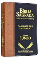 Bíblia Jumbo Letra Gigante Harpa Luxo Duotone Feminina - Bíblia Sagrada