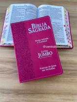 Biblia Letra JUMBO rosa pink Harpa e corinhos RC Biblia sagrada luxo