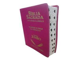 Bíblia Luxo Letra Jumbo Cor Pink- Arc/ Maior Letra Do Mercado/ Fala De Jesus Em Vermelho