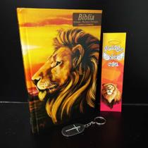 Bíblia moderna jovem envio imediato novo leão yeshua ktg