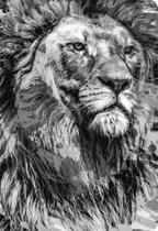 Bíblia NTLH YouVersion The Lion P&B: nova tradução na linguagem de hoje