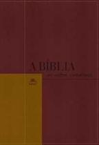 Bíblia NVI em ordem cronológica - Editora Vida