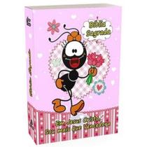 Bíblia para Jovens - Fácil Entendimento da Palavra do Senhor - Possui o Antigo e Novo Testamento - A