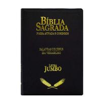 Biblia Rc Jumbo Com Harpa Ziper Preta Rygu - Cpp Biblia Rc Jumbo Com Harpa Ziper Preta Rygu - Cpp